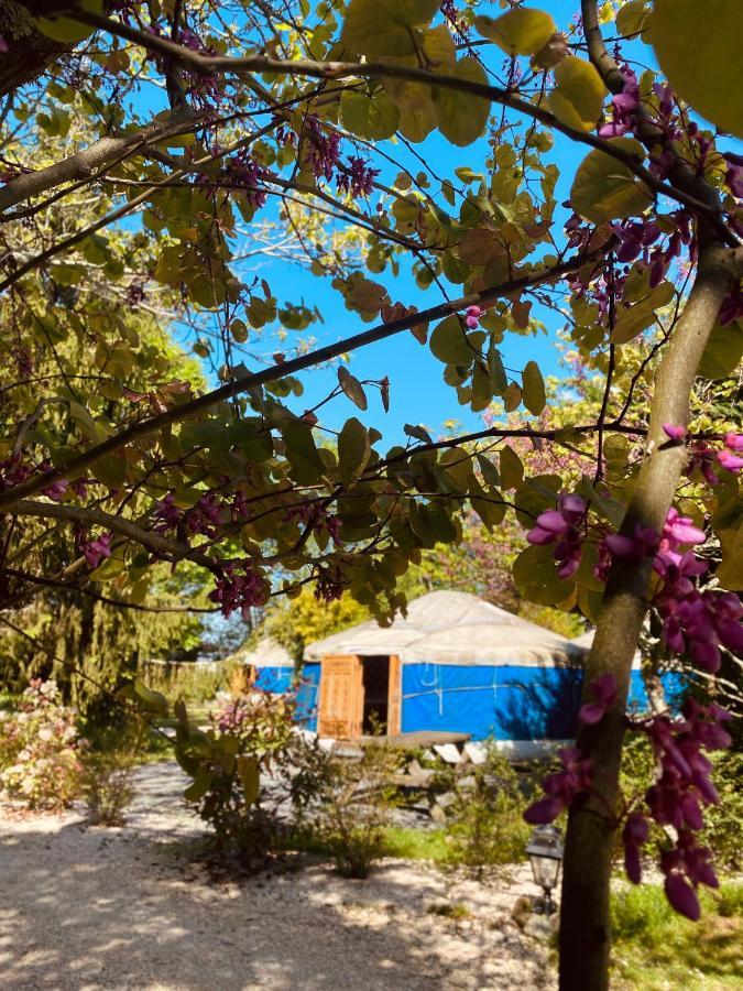 Les Yourtes Du Bearn - Domaine Des Deux Clos Bed & Breakfast Pontiacq-Viellepinte Eksteriør bilde